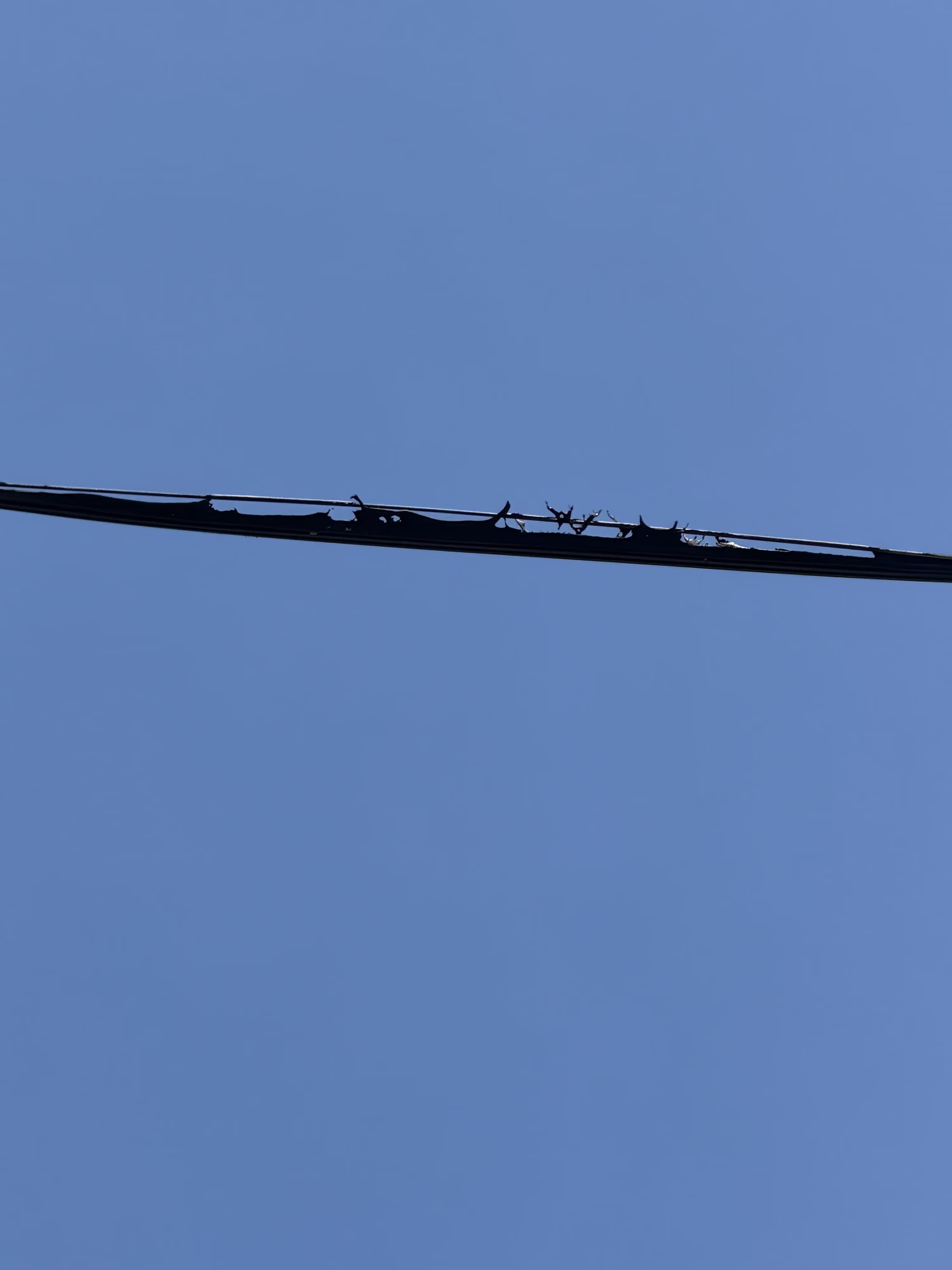 Burnt fiber optic cable
